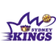 悉尼国王 队徽